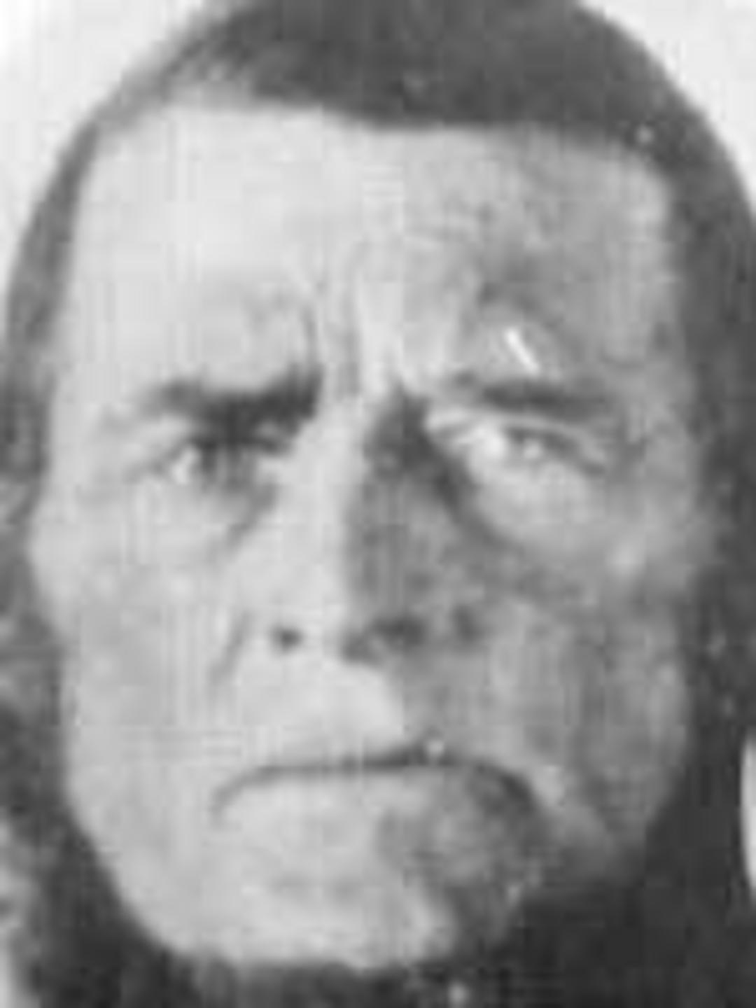 Samuel Jefferson Adair (1806 - 1889) Profile